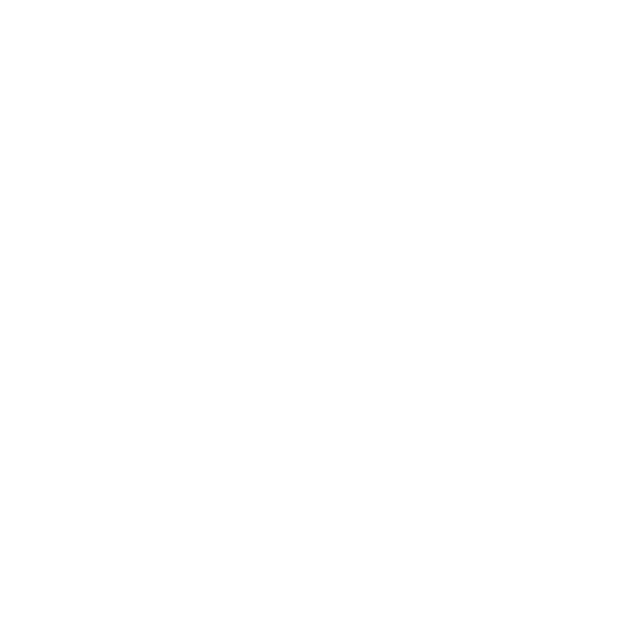 Vision